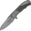 Kershaw Agile Framelock A/O Blade Folding Knife W/ Changeable Backspacers 1558