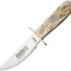Marbles Knives Cowboy Knife Fixed 8" Appaloosa Bone Handle Full Tang Bowie 318