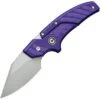 Civivi Typhoeus Folding Push Dagger Knife Purple G10 14C28N Blade W/ Sheath 210362