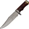 FH Knives Damascus Bowie Brown Wood Damascus Fixed Blade Knife HZBW001