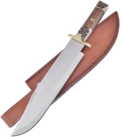 Frost Cutlery Trophy Stag Bone & Walnut Handle Bowie + Brown Leather Sheath Ts03wdst