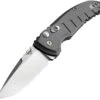 Hogue Automatic A01 Microswitch Knife Button Lock Gray Aluminum CPM-154 Drop Pt Blade 24112