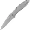 Kershaw Leek Framelock A/O Factory Second Stainless Folding Pocket Knife X1660B